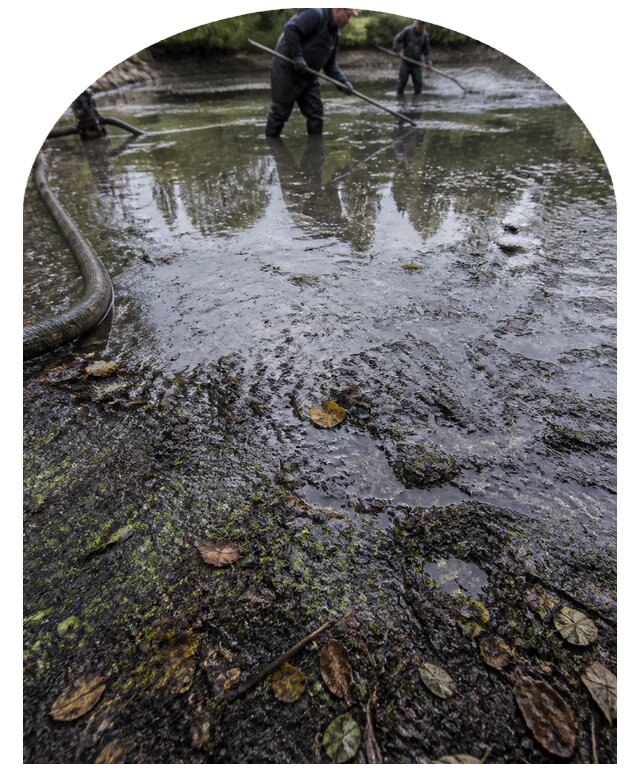 Очистка пруда в Сланцах от ила мусора и водорослей с вывозом